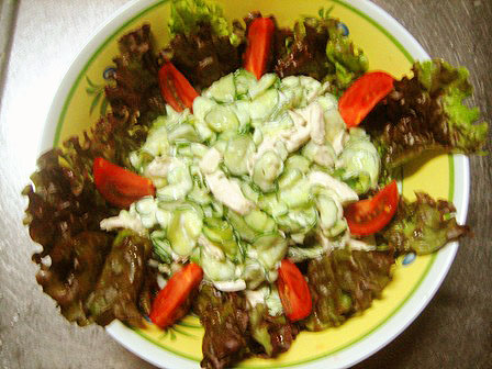 洋風のサラダ鉢にレタスとトマトとの盛り付け