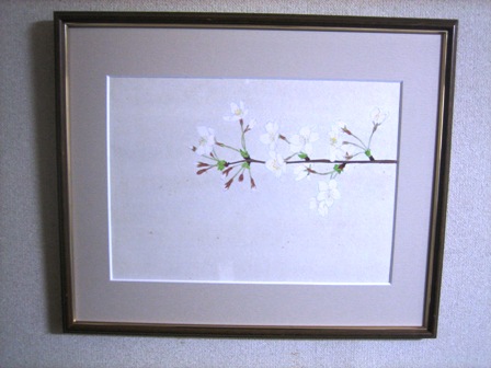 日本画風の桜の一枝