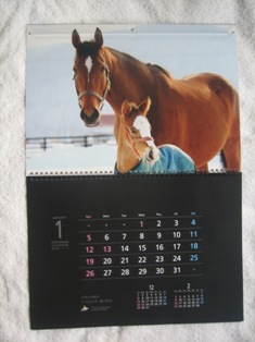 馬１０　１月のカレンダー
